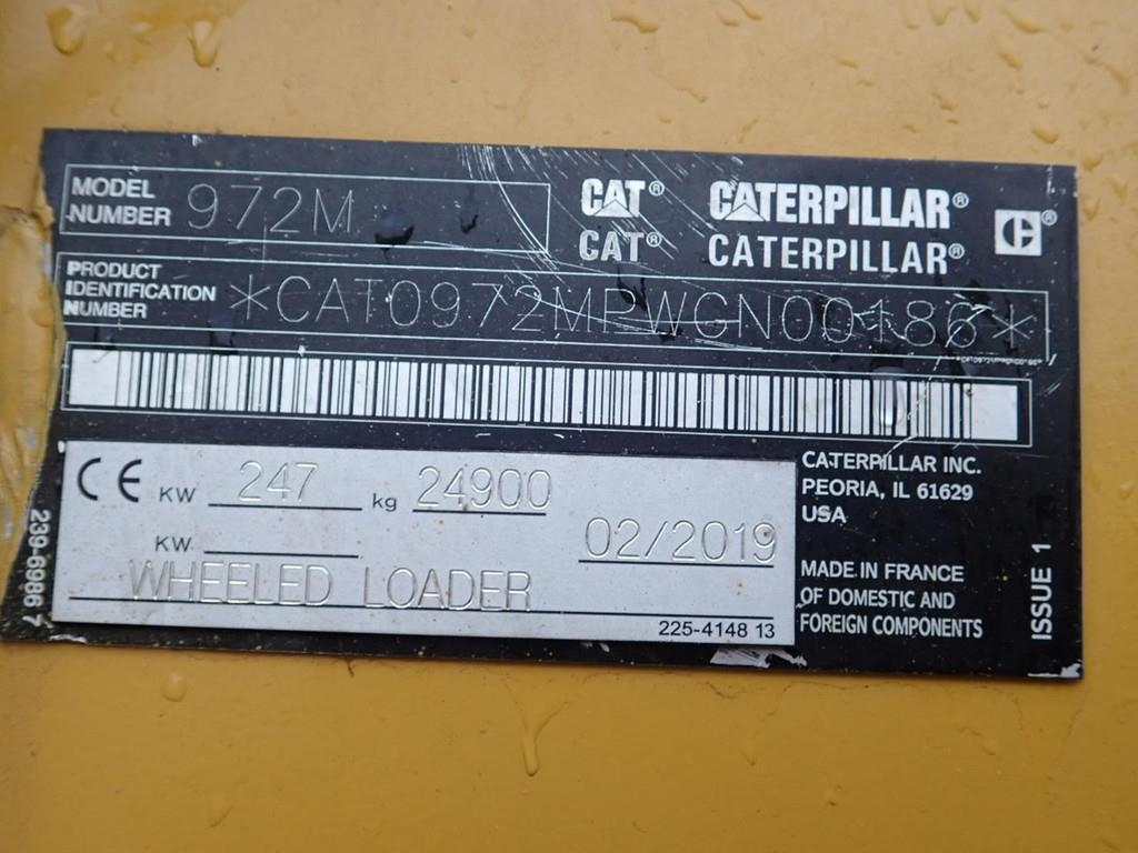 cat-972-m,ff3e85a5-17.jpg